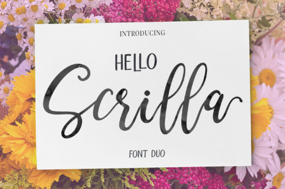 Download Hello Scrilla Script Font&nbsp; - Script Collection