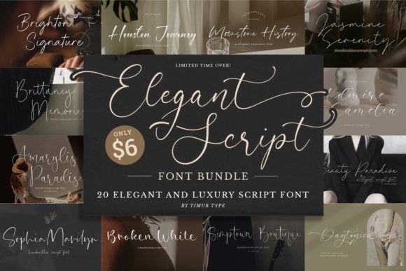 Download Elegant Script Font Bundle - Script Collection
