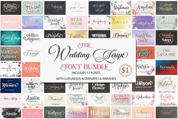 Download The Wedding Script Font Bundle - Script Collection